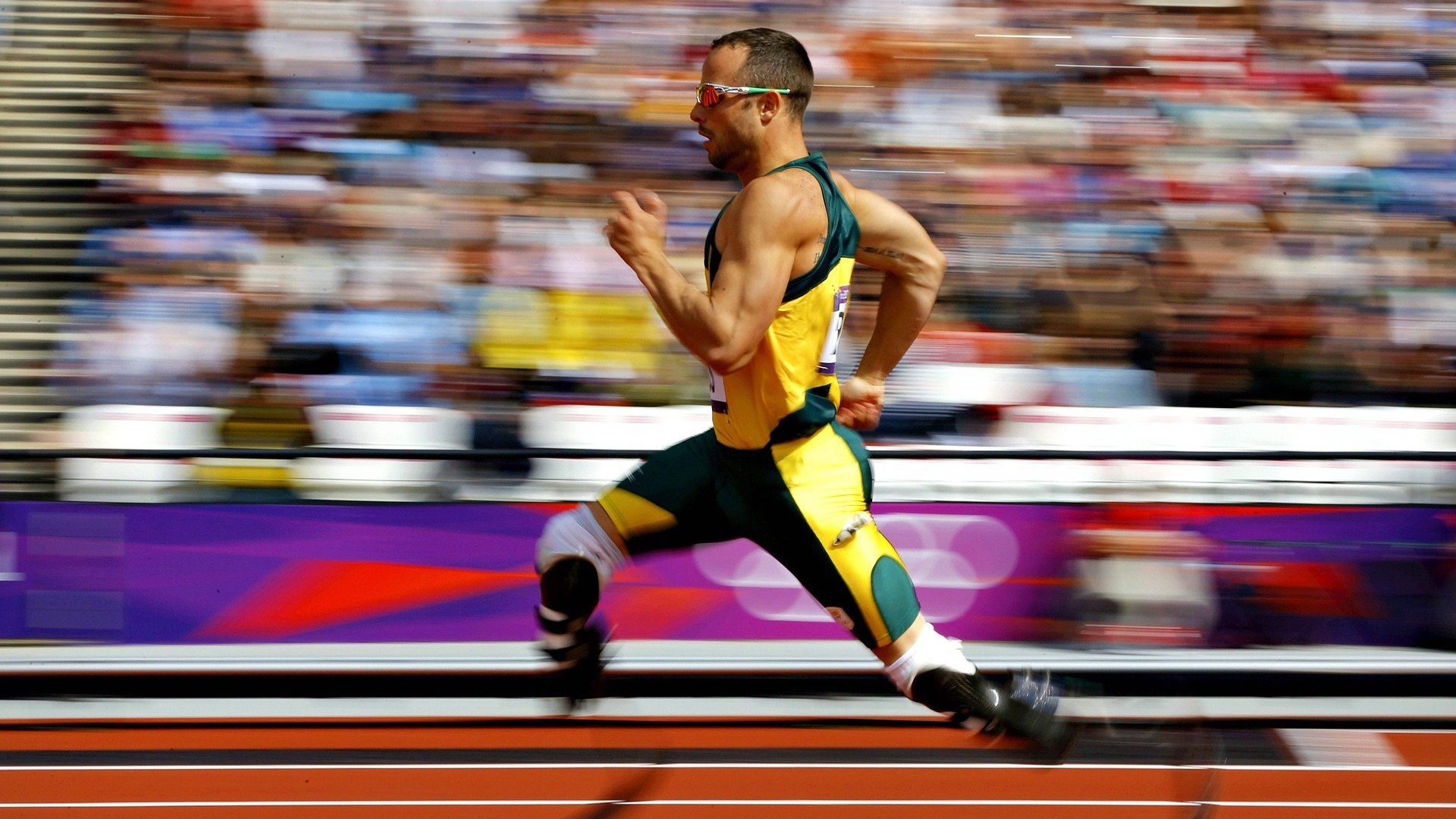 德国马术协会与科技公司合作，开发虚拟现实训练平台，提升骑手技能。